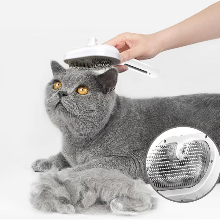 PERIE CU ABUR ZENTICO